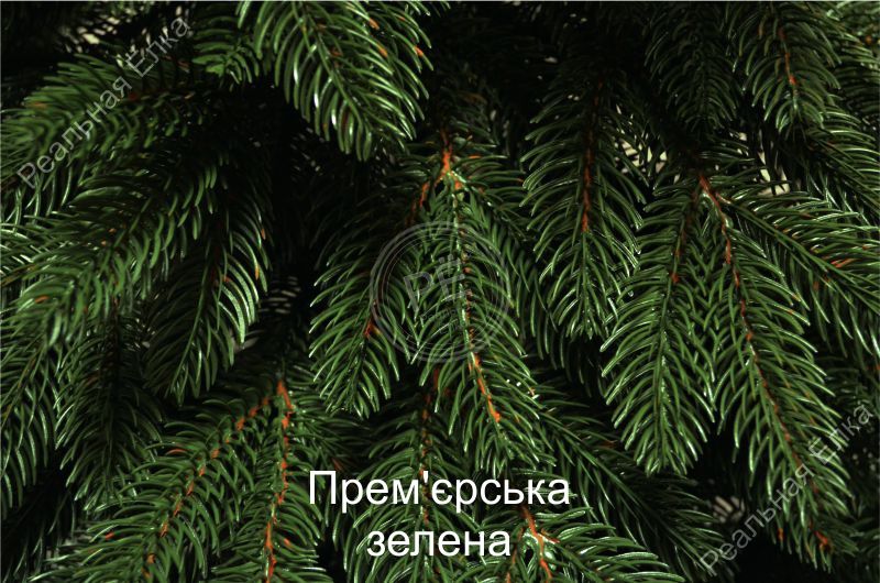 Прем'єрська (зелена) - 150 см Пз150 фото