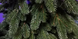 Гірлянда Ельфійська зелена 1,5м ГирЭ1,5м фото 4